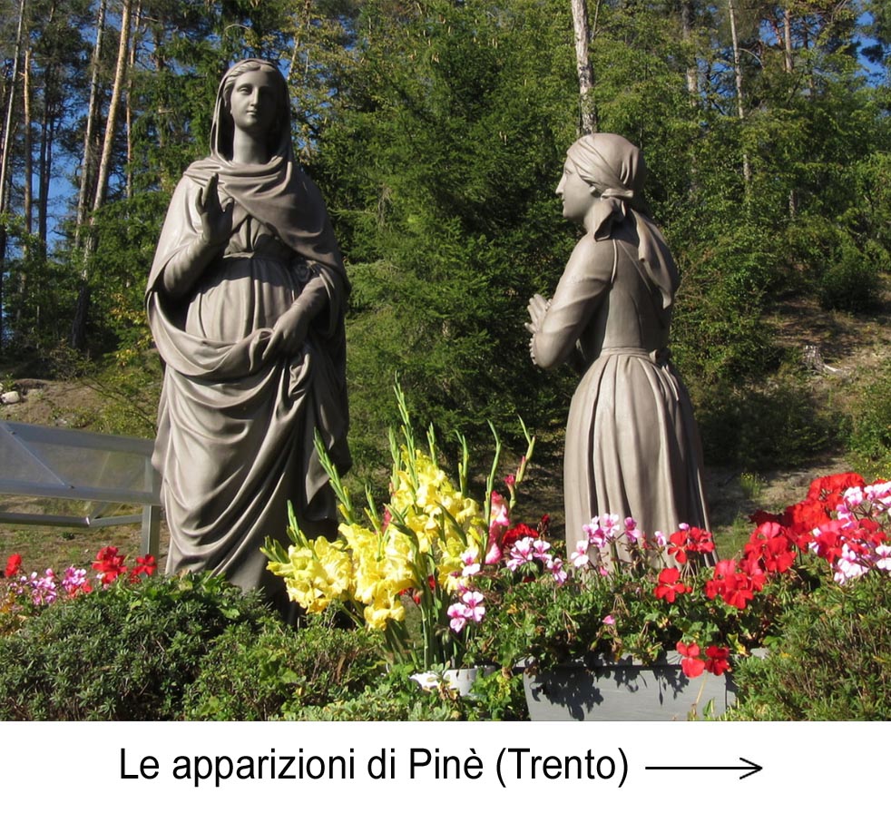 Pine